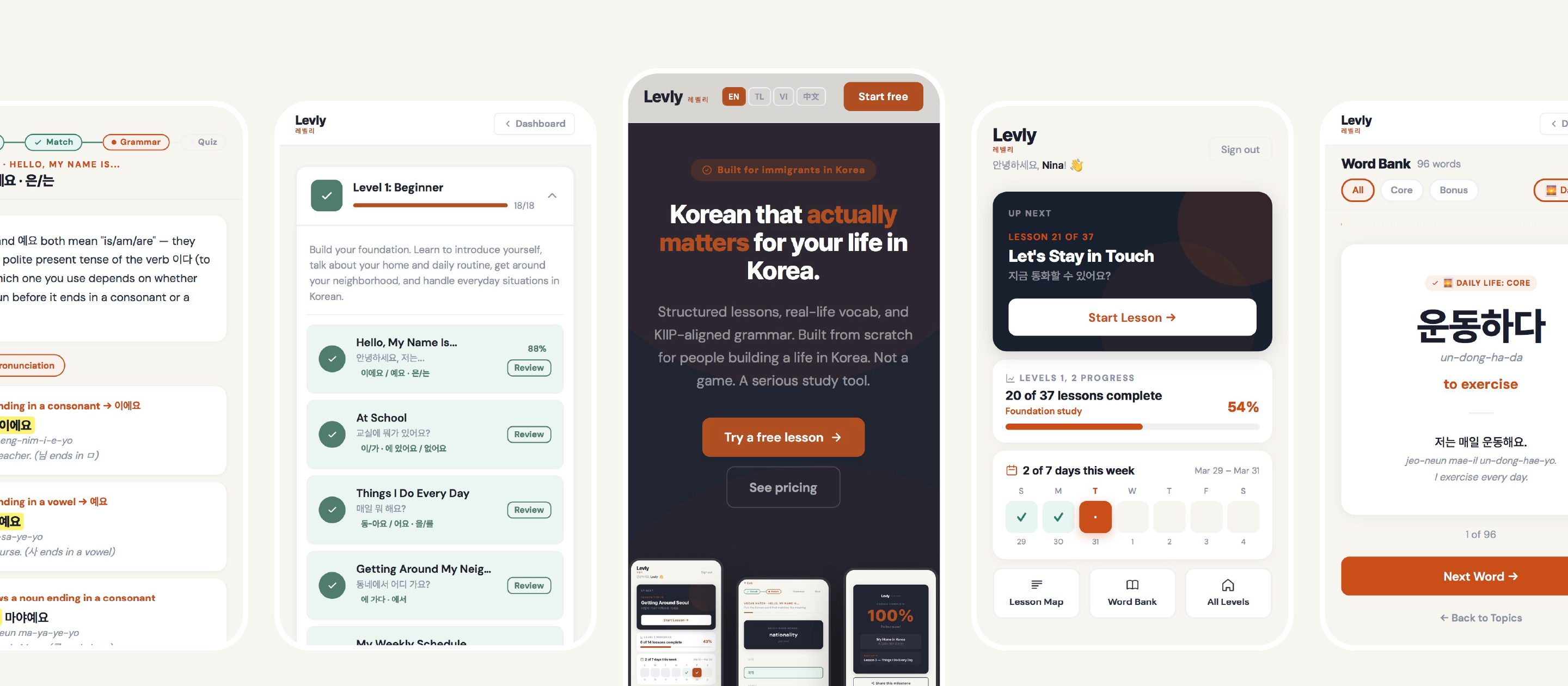 Levly app and website screens showcasing the dashboard, grammar lessons, vocabulary match, and marketing site